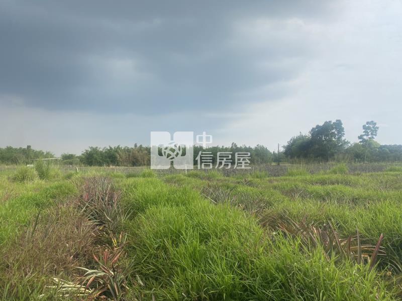 高鐵沙崙段1258坪農地房屋室內格局與周邊環境