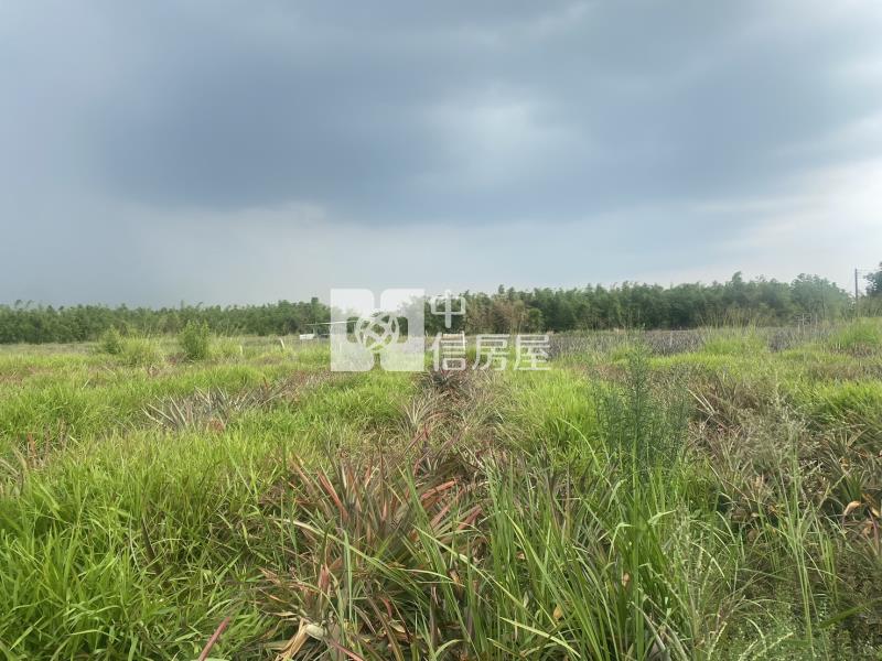 高鐵沙崙段1258坪農地房屋室內格局與周邊環境