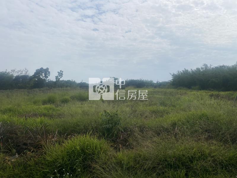高鐵沙崙段1258坪農地房屋室內格局與周邊環境