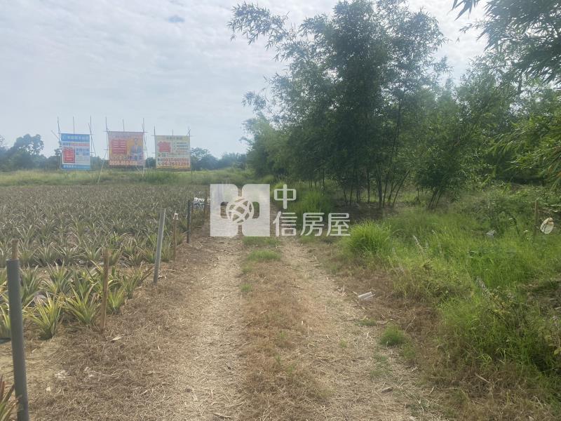 高鐵沙崙段1258坪農地房屋室內格局與周邊環境