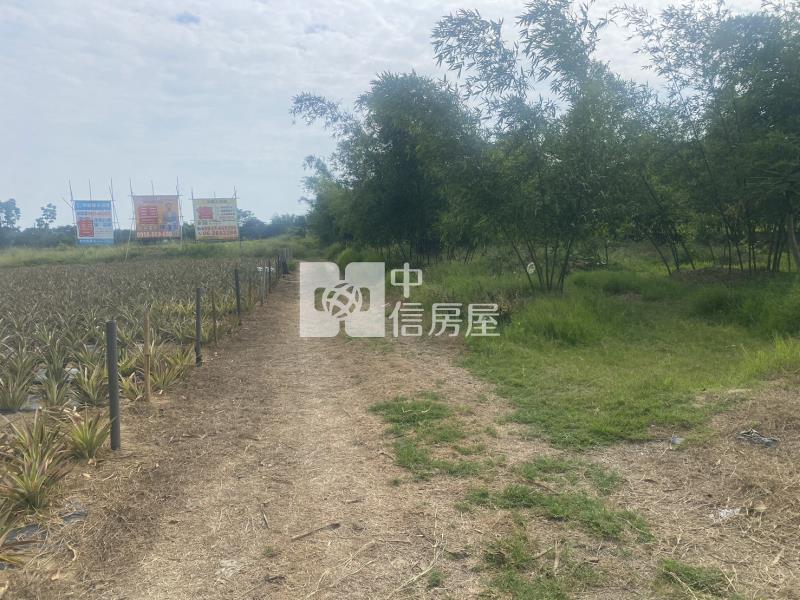 高鐵沙崙段1258坪農地房屋室內格局與周邊環境