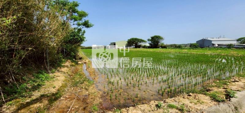 新豐美又廉的農地房屋室內格局與周邊環境