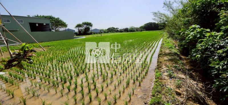新豐美又廉的農地房屋室內格局與周邊環境