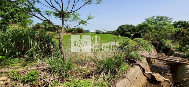 新豐美又廉的農地房屋室內格局與周邊環境