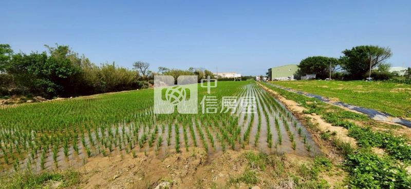 新豐美又廉的農地房屋室內格局與周邊環境