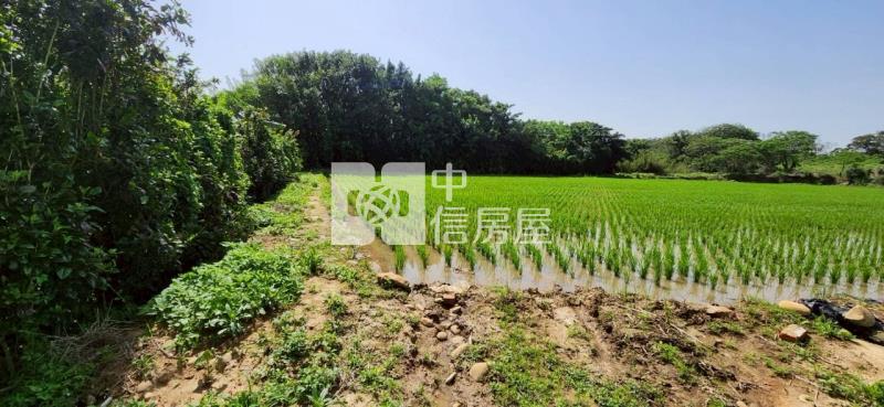 新豐美又廉的農地房屋室內格局與周邊環境