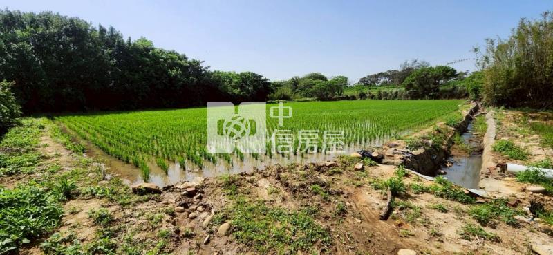 新豐美又廉的農地房屋室內格局與周邊環境