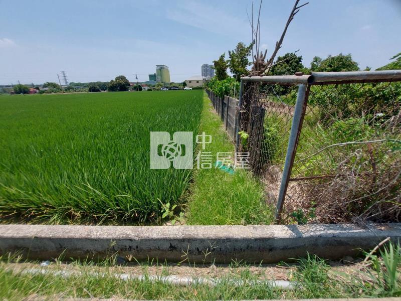 善化區北子店段632坪方正農地(一)房屋室內格局與周邊環境