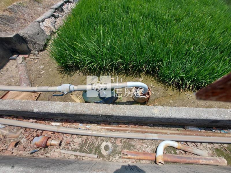 善化區北子店段511坪有水電方正農地(二)房屋室內格局與周邊環境