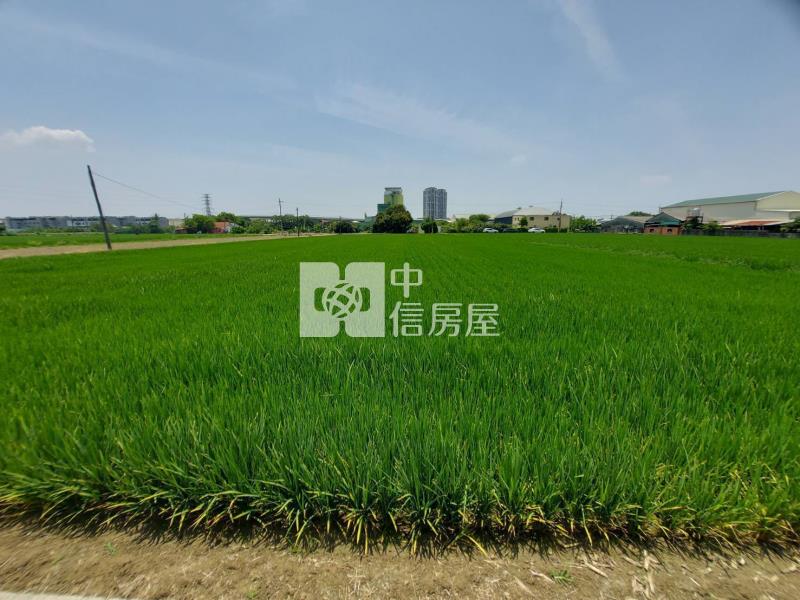 善化區北子店段511坪有水電方正農地(二)房屋室內格局與周邊環境