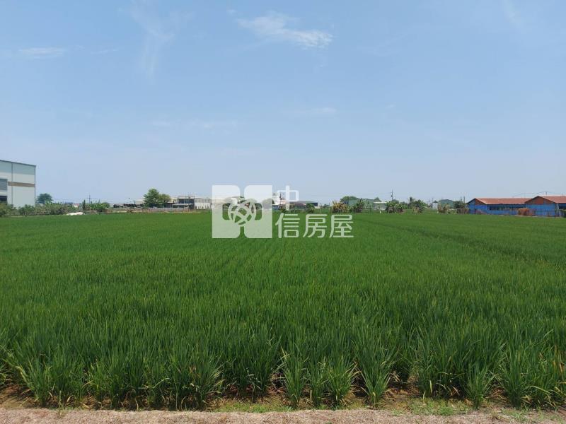 善化區北子店段511坪有水電方正農地(二)房屋室內格局與周邊環境