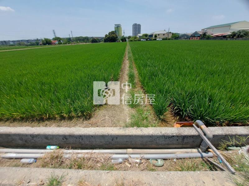 善化區北子店段511坪有水電方正農地(二)房屋室內格局與周邊環境
