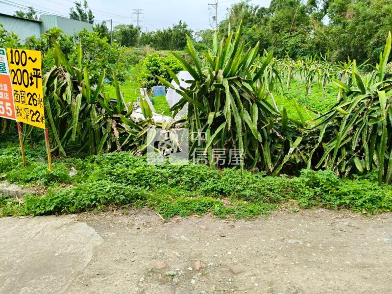 三坑老街農地房屋室內格局與周邊環境