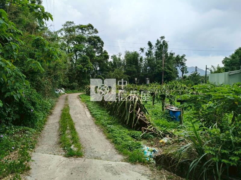 三坑老街農地房屋室內格局與周邊環境