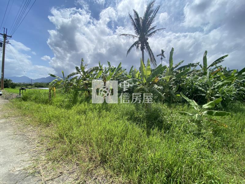 B27-成功鎮上農地房屋室內格局與周邊環境