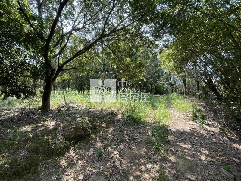 龍潭區龍科三期徵收地房屋室內格局與周邊環境