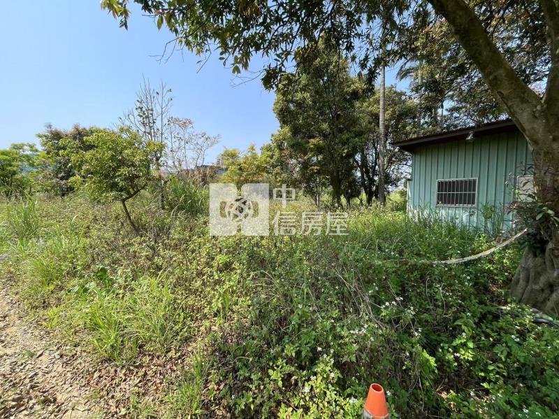 龍潭區龍科三期徵收地房屋室內格局與周邊環境