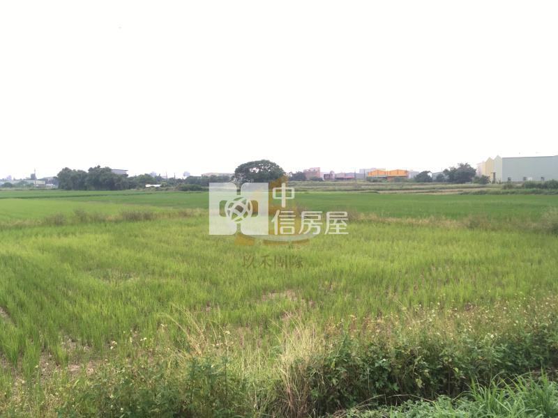 【玖禾】市府二期徵收農田949