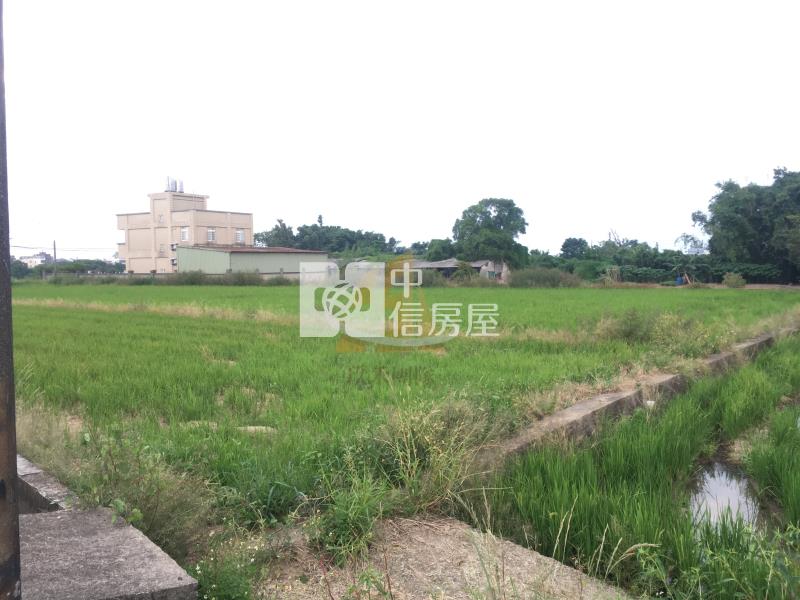 【玖禾】市府二期徵收農田949房屋室內格局與周邊環境
