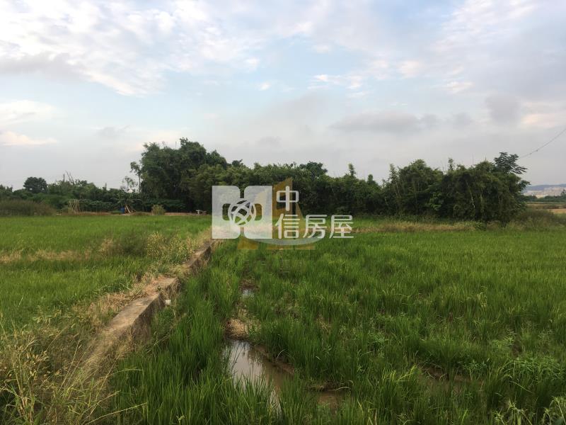 【玖禾】市府二期徵收農田949房屋室內格局與周邊環境