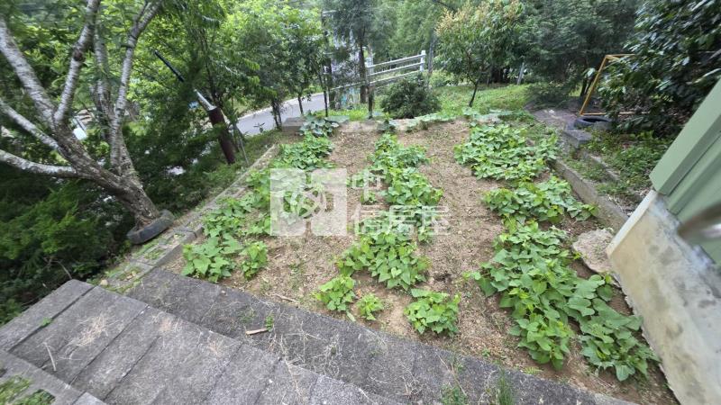 D213超值休閒農場+26坪資材室(合法)房屋室內格局與周邊環境