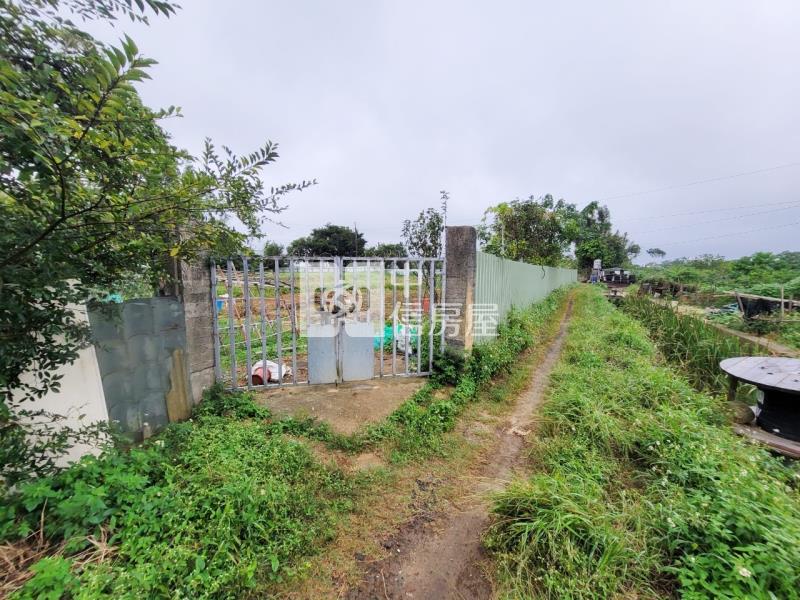 近66龍潭8米龍平路旁一般農房屋室內格局與周邊環境