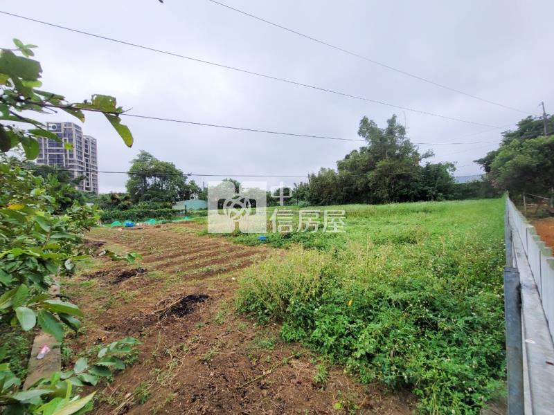 近66龍潭8米龍平路旁一般農房屋室內格局與周邊環境
