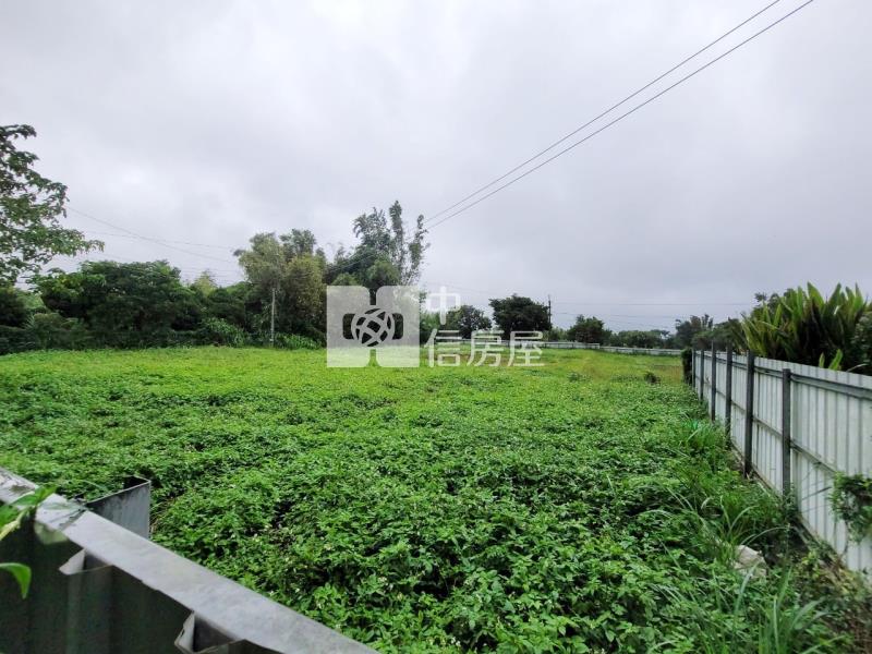 近66龍潭8米龍平路旁一般農房屋室內格局與周邊環境