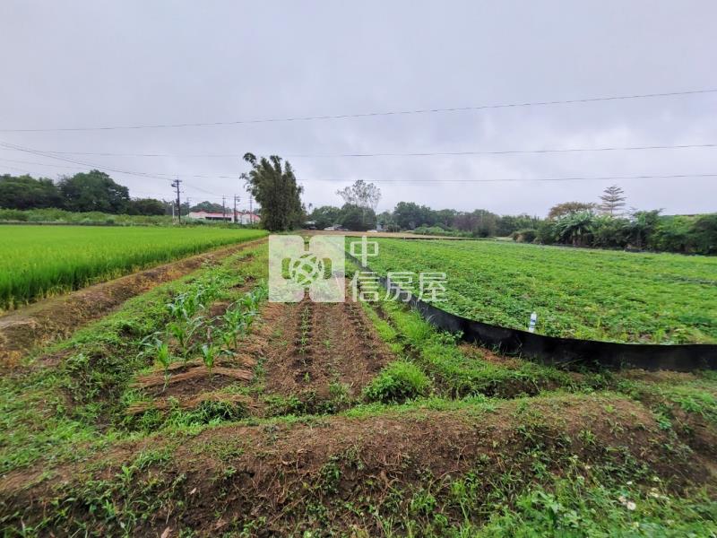 近66龍潭8米龍平路旁一般農房屋室內格局與周邊環境