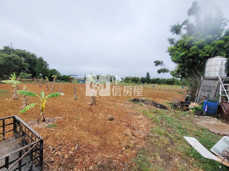 近66龍潭8米龍平路旁一般農房屋室內格局與周邊環境