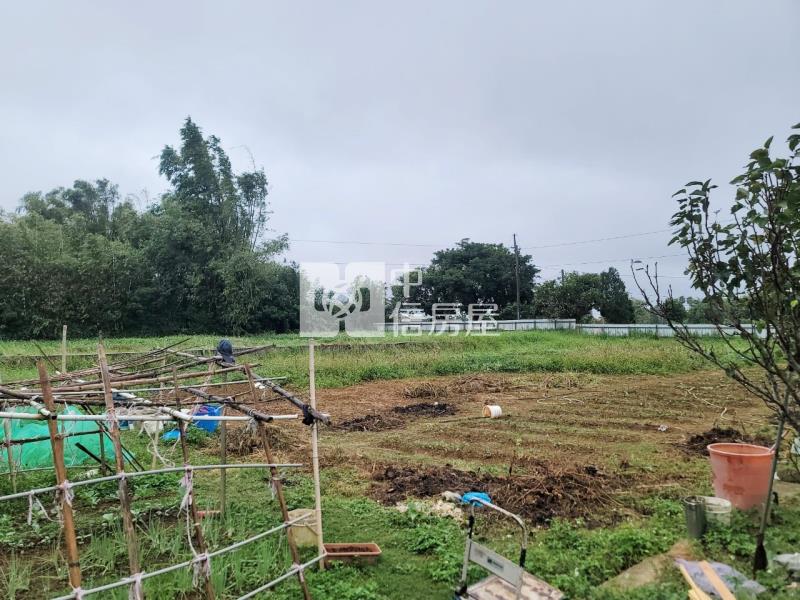 近66龍潭8米龍平路旁一般農房屋室內格局與周邊環境