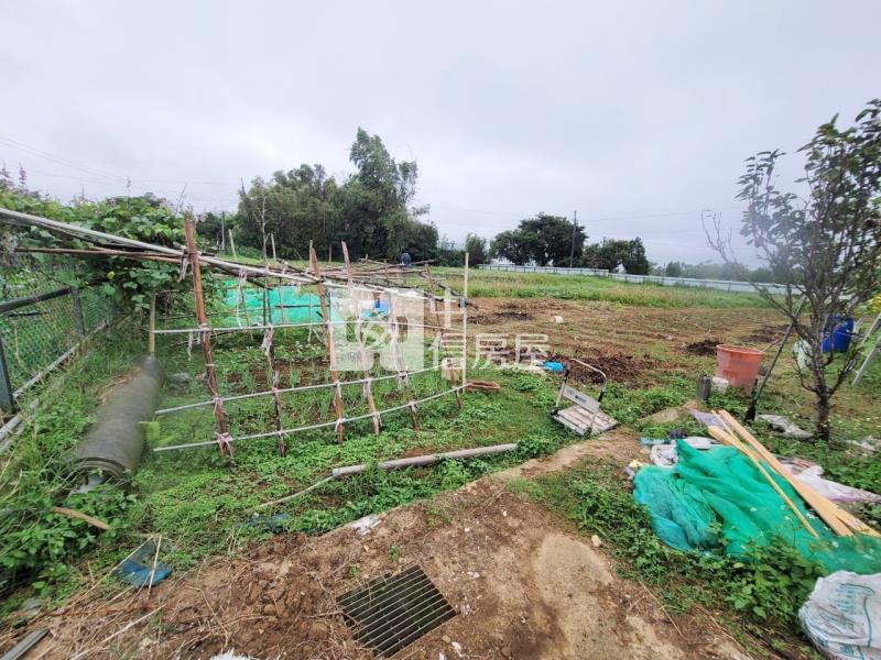 近66龍潭8米龍平路旁一般農房屋室內格局與周邊環境