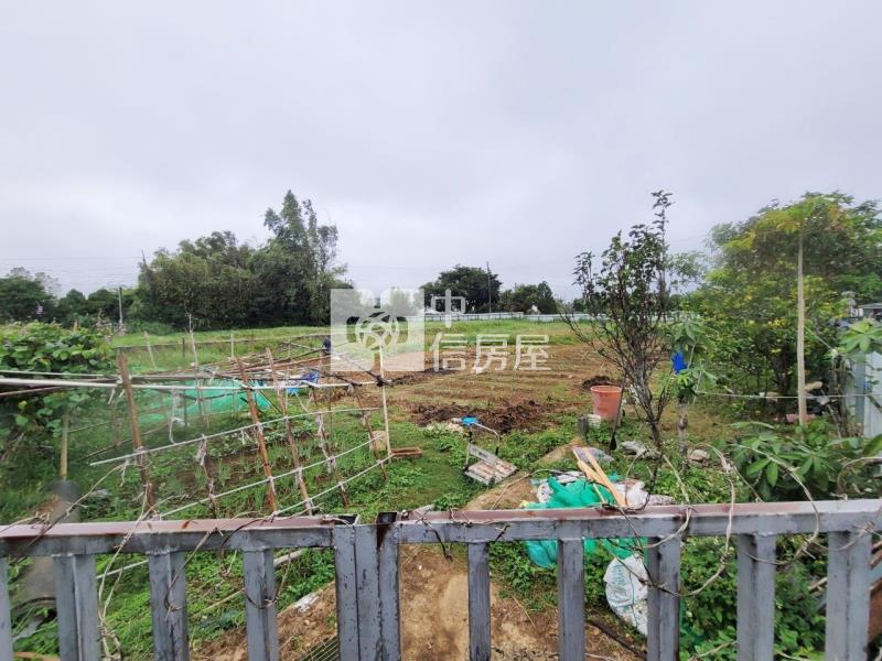 近66龍潭8米龍平路旁一般農房屋室內格局與周邊環境