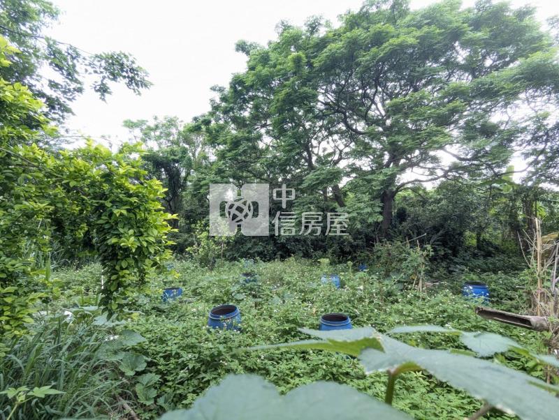 觀音低總價袋地房屋室內格局與周邊環境