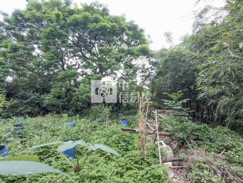觀音低總價袋地房屋室內格局與周邊環境