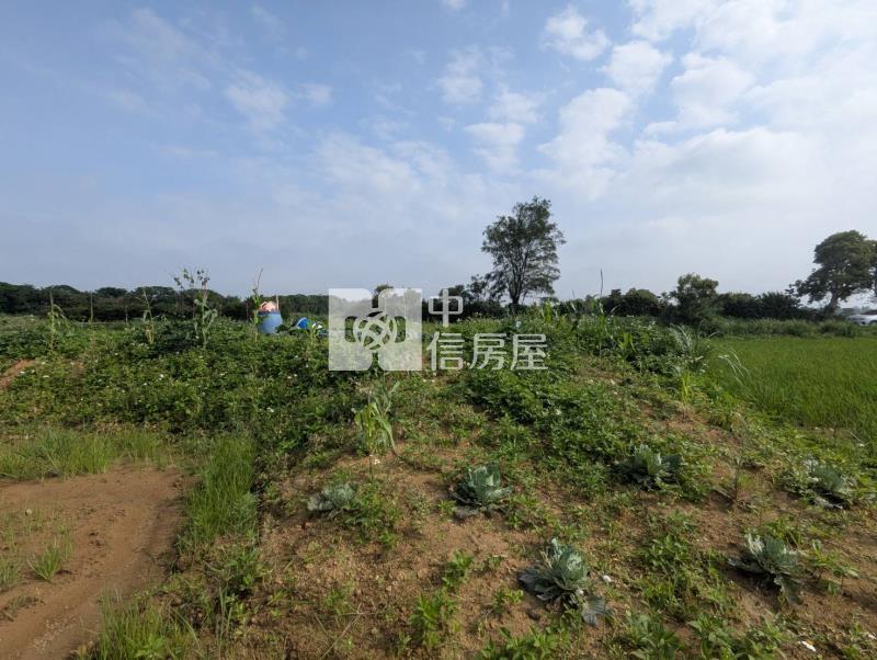 觀音區育仁段方正農地房屋室內格局與周邊環境