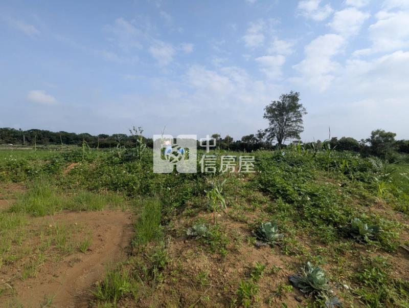 觀音區育仁段方正農地房屋室內格局與周邊環境