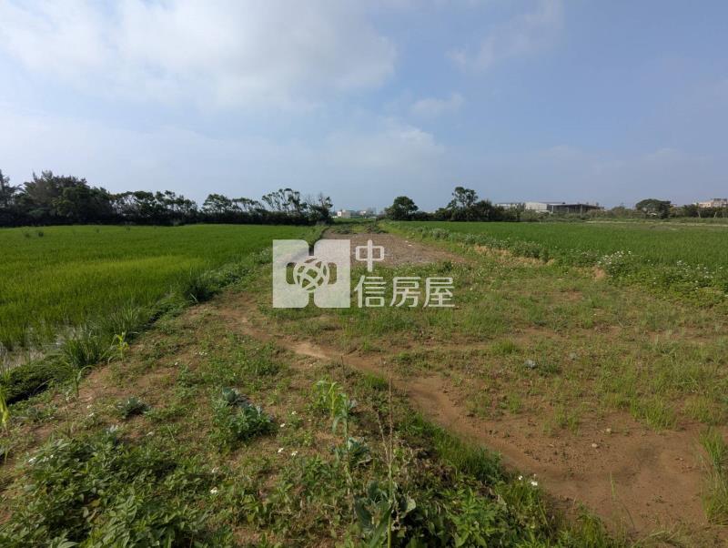 觀音區育仁段方正農地房屋室內格局與周邊環境