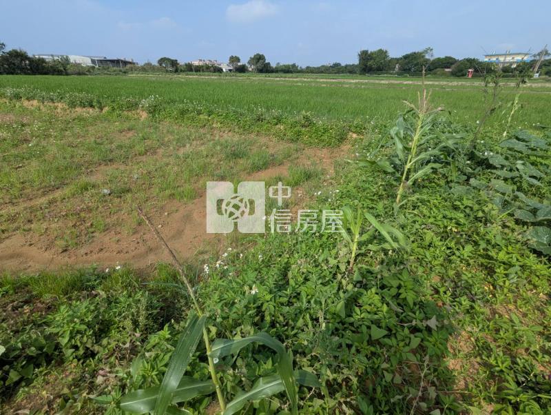 觀音區育仁段方正農地房屋室內格局與周邊環境