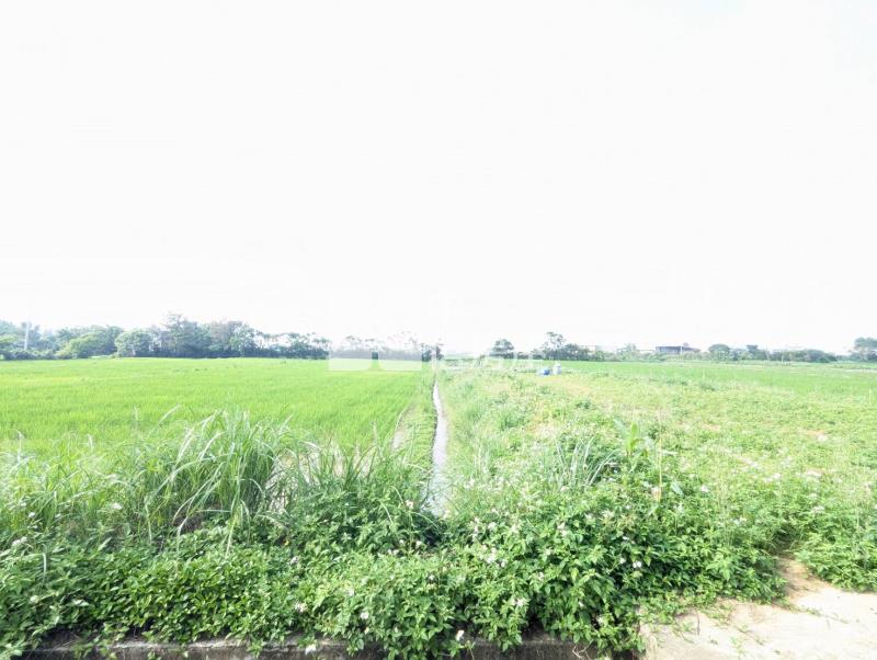觀音區育仁段方正農地房屋室內格局與周邊環境