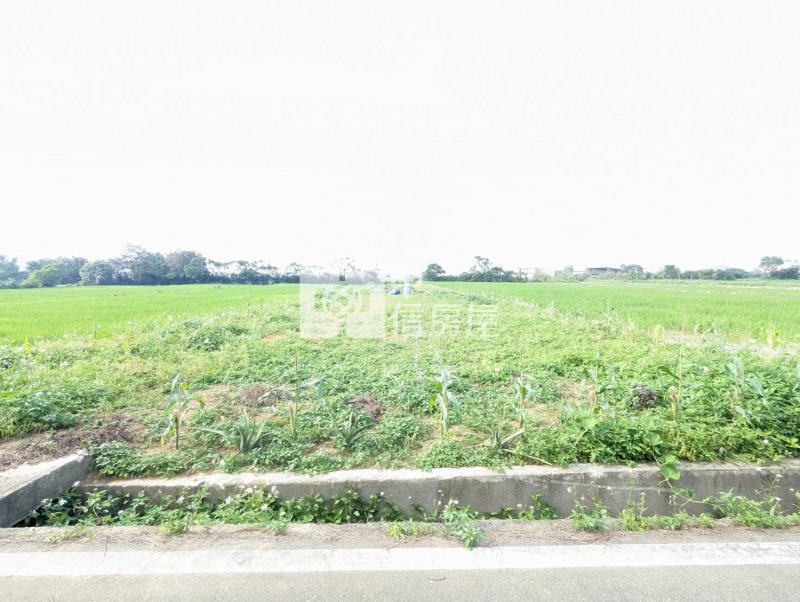 觀音區育仁段方正農地房屋室內格局與周邊環境