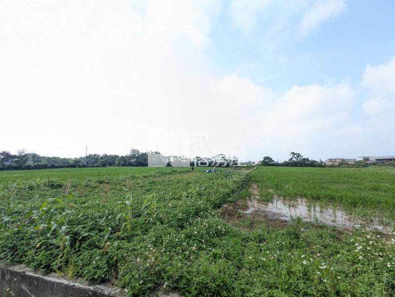 觀音區育仁段方正農地房屋室內格局與周邊環境