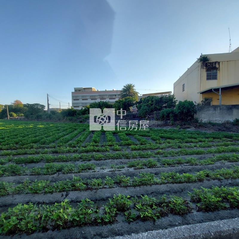 土庫農地房屋室內格局與周邊環境