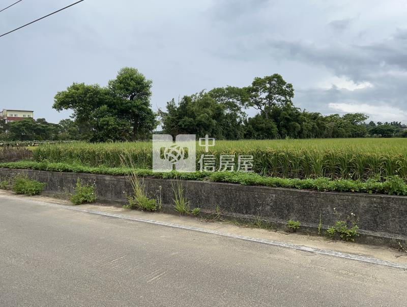 【奔馳】新屋區超低價農地房屋室內格局與周邊環境