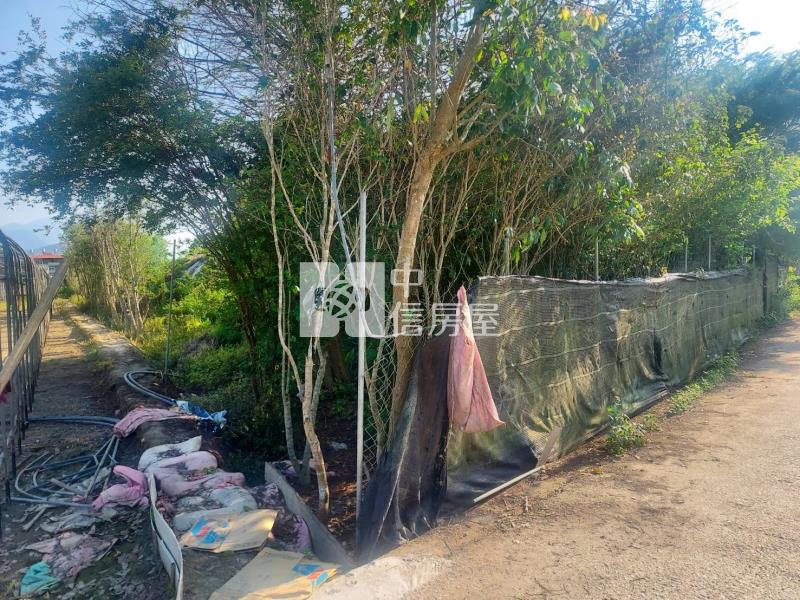 安湳專任農地房屋室內格局與周邊環境