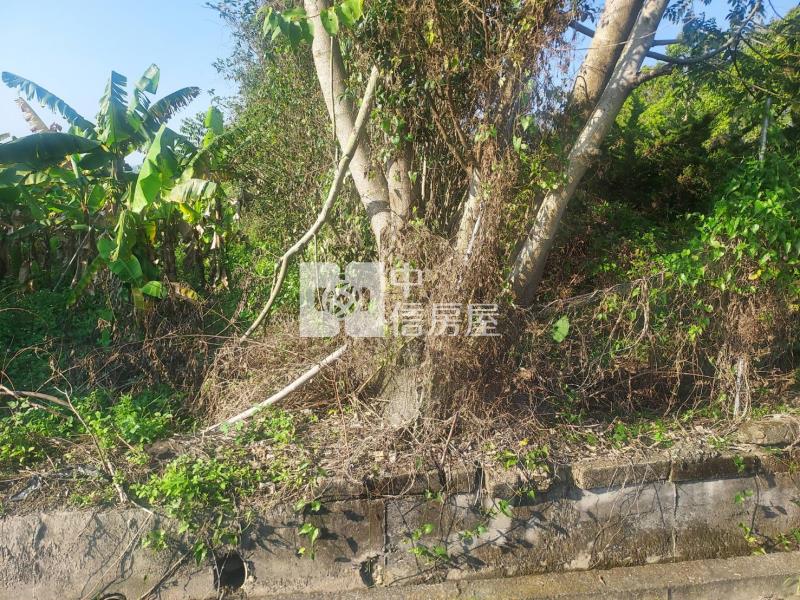 安湳專任農地房屋室內格局與周邊環境
