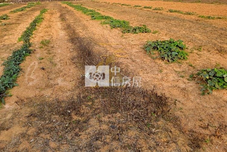 【玖禾】近青埔大路邊農地房屋室內格局與周邊環境