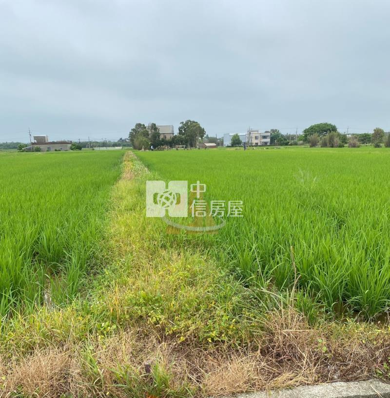 【玖禾】近青埔大路邊農地房屋室內格局與周邊環境