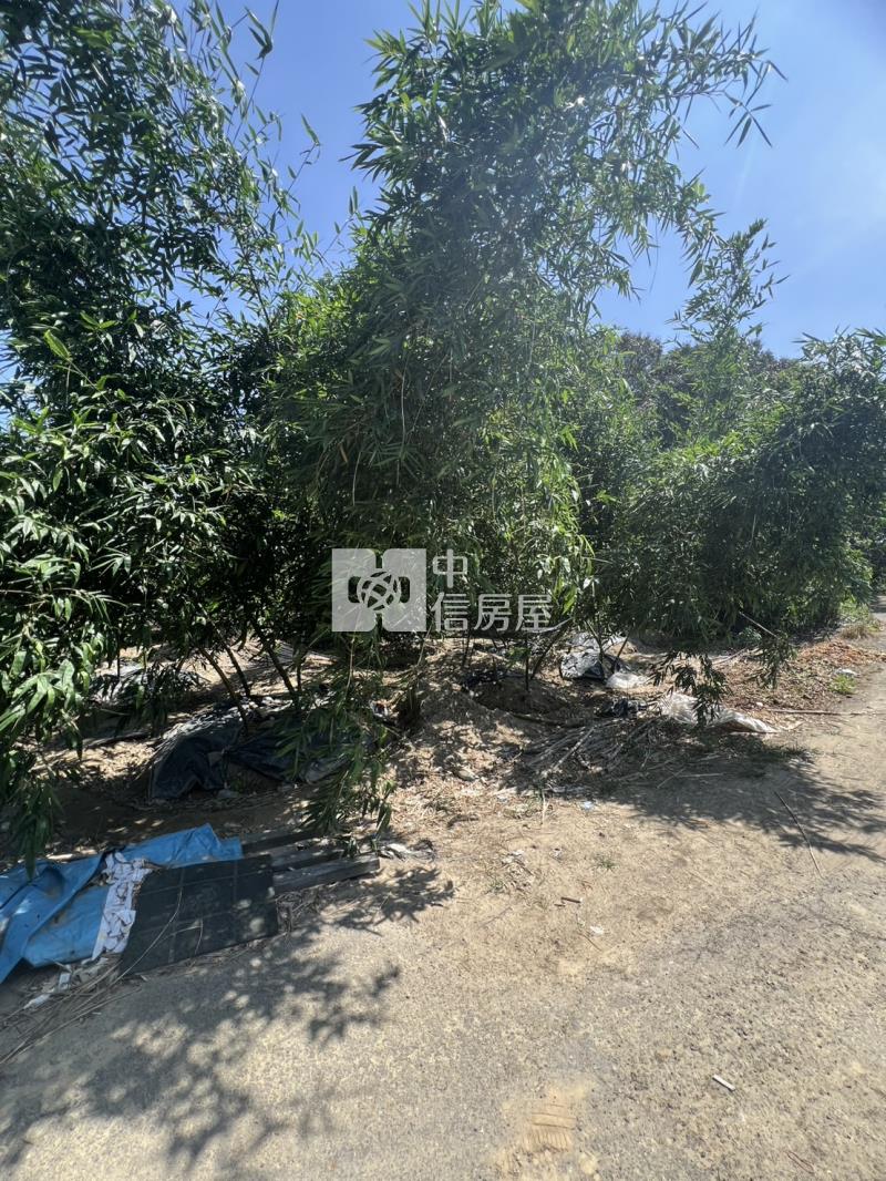 崙子頂超夯農地房屋室內格局與周邊環境
