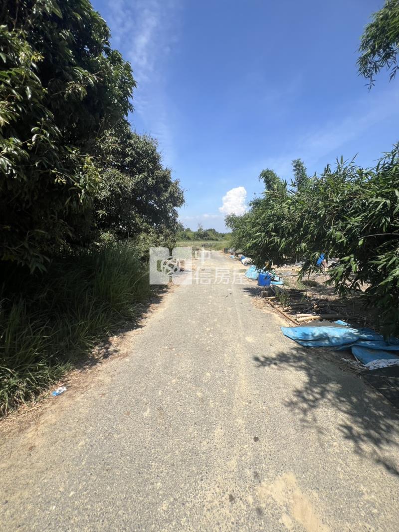 崙子頂超夯農地房屋室內格局與周邊環境